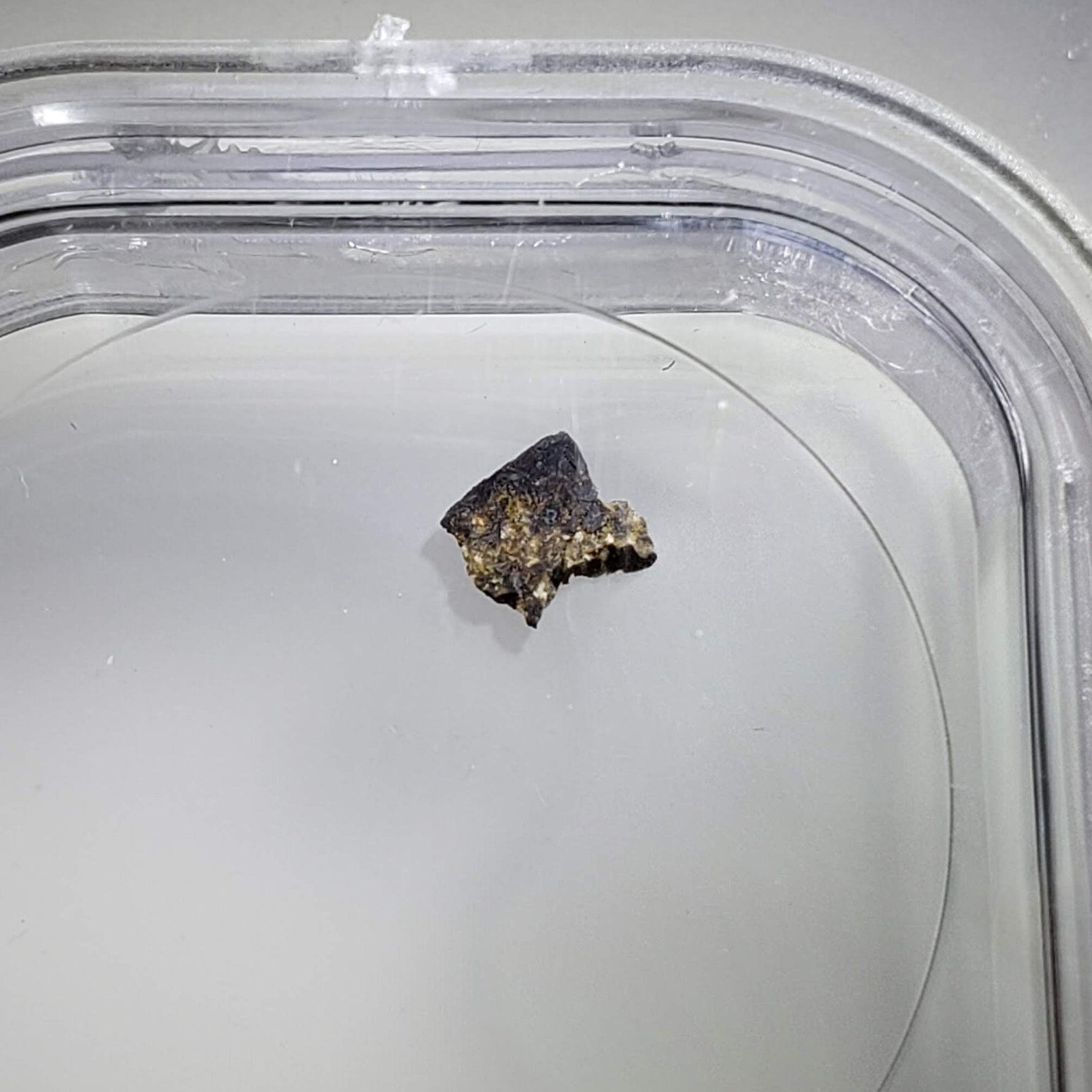  NWA 1459 Meteorite | 44 mg | Fragment | Olivine Diogenite | The Worlds Rarest Class | Low TKW 4