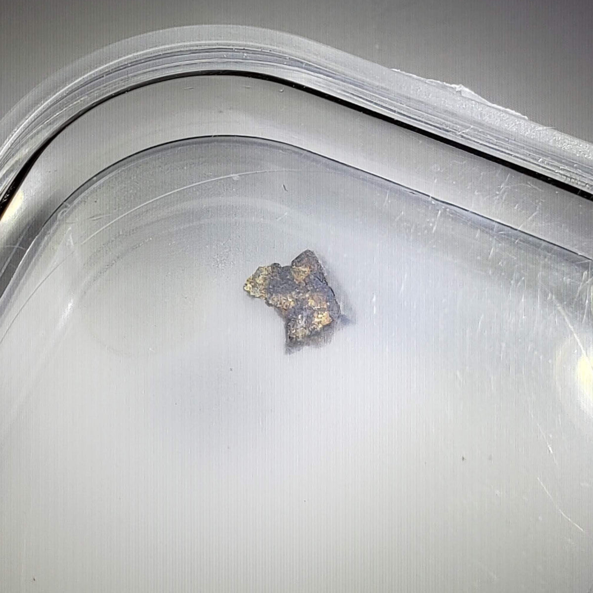  NWA 1459 Meteorite | 44 mg | Fragment | Olivine Diogenite | The Worlds Rarest Class | Low TKW 2