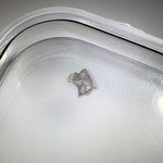  NWA 1459 Meteorite | 44 mg | Fragment | Olivine Diogenite | The Worlds Rarest Class | Low TKW 2