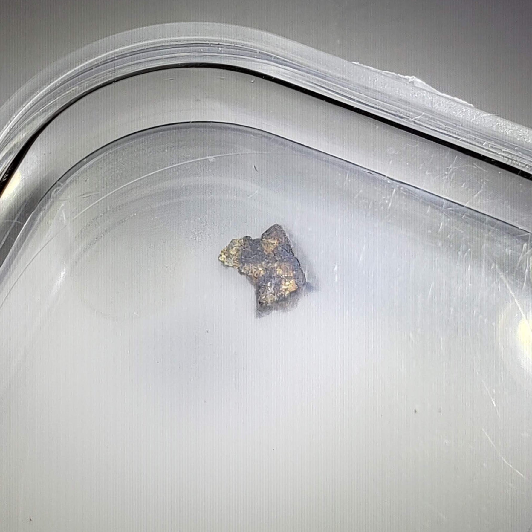  NWA 1459 Meteorite | 44 mg | Fragment | Olivine Diogenite | The Worlds Rarest Class | Low TKW 2