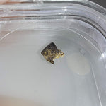  NWA 1459 Meteorite | 44 mg | Fragment | Olivine Diogenite | The Worlds Rarest Class | Low TKW 3