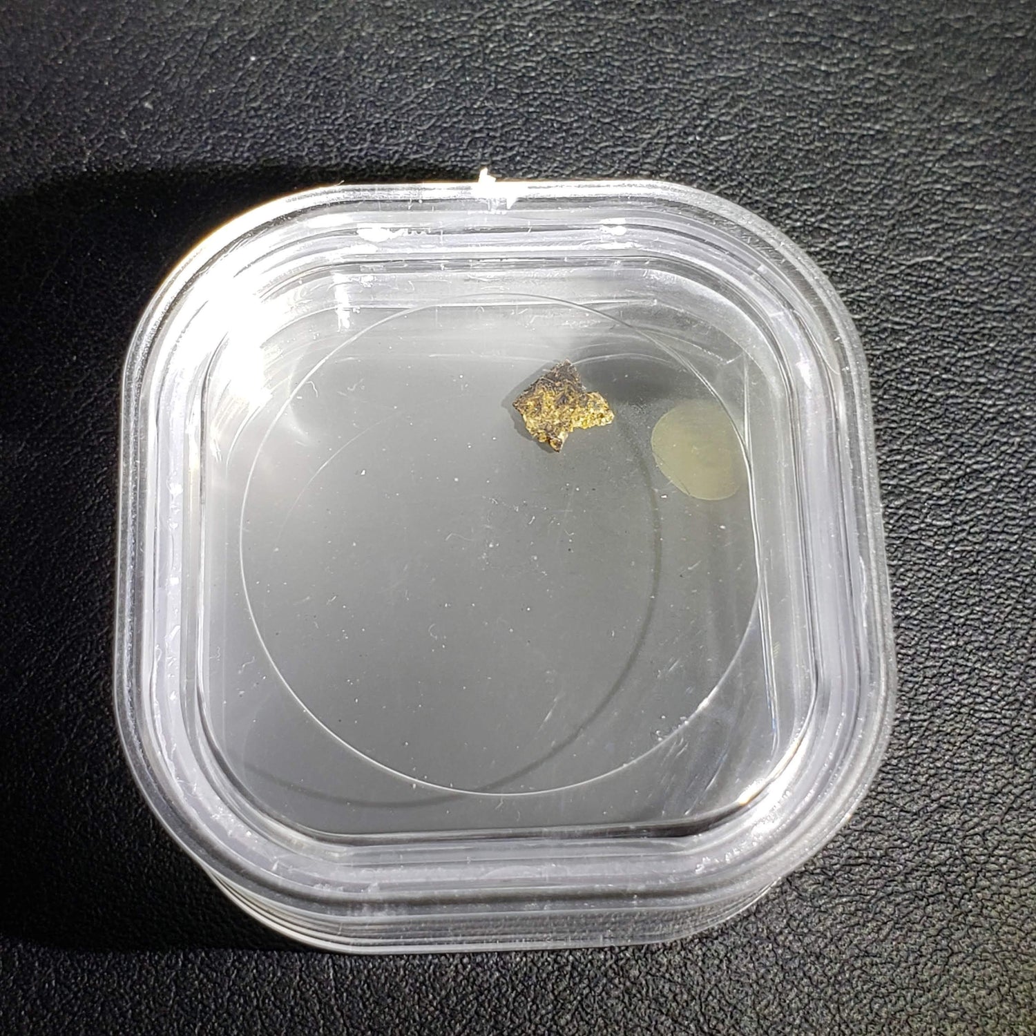  NWA 1459 Meteorite | 44 mg | Fragment | Olivine Diogenite | The Worlds Rarest Class | Low TKW 1