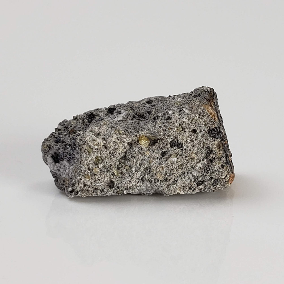  NWA 1777 Meteorite | 1.45 Gr | Crusted Fragment | Eucrite-pmict | Algeria 1