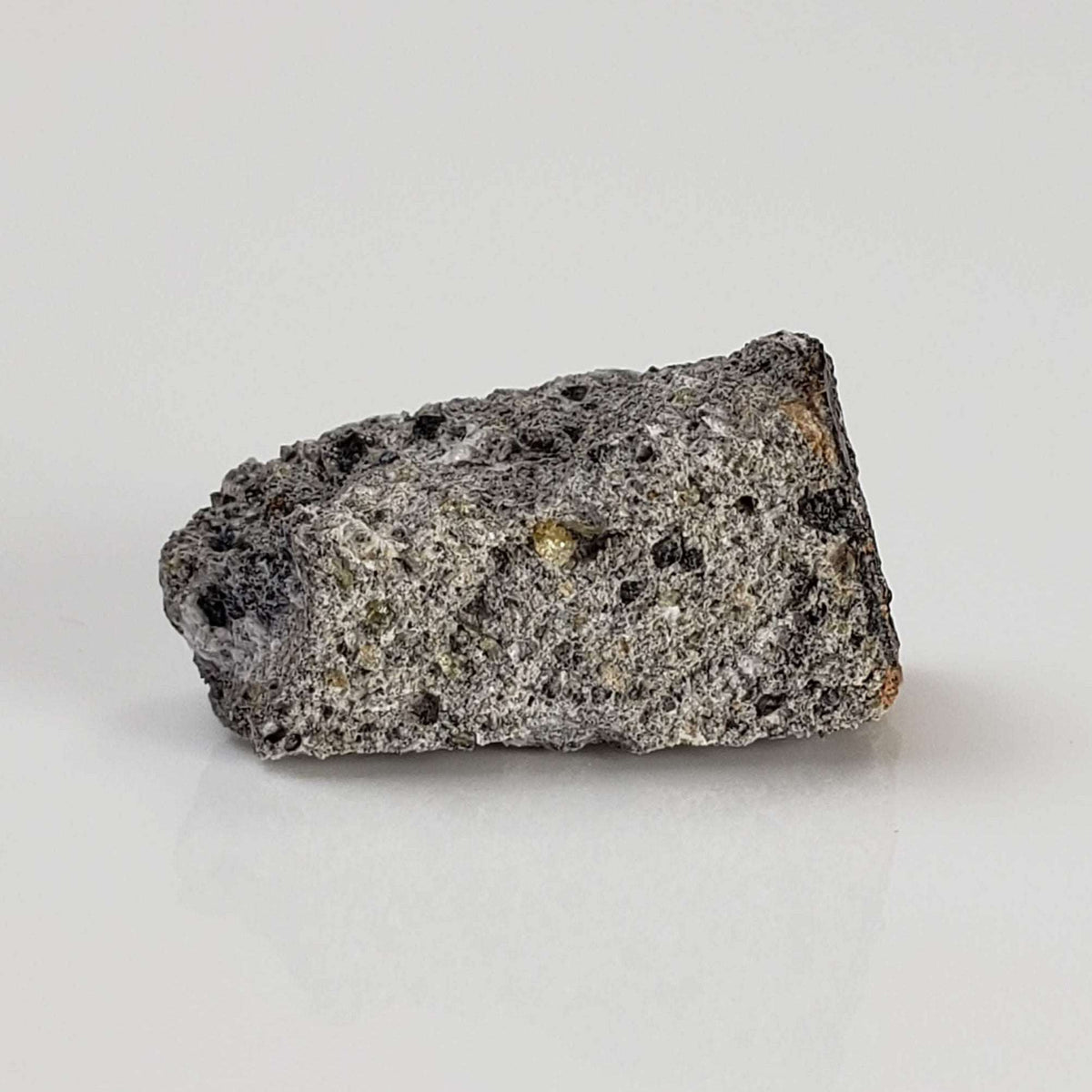  NWA 1777 Meteorite | 1.45 Gr | Crusted Fragment | Eucrite-pmict | Algeria 1