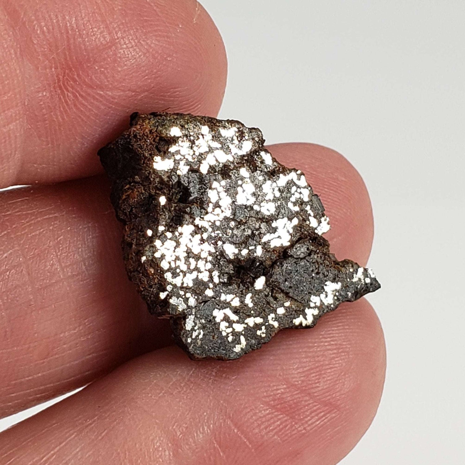  NWA 1879 Meteorite | 4.16 Gr | Part Slice | Found 2003 | Stony Iron Mesosiderite | Morocco 6
