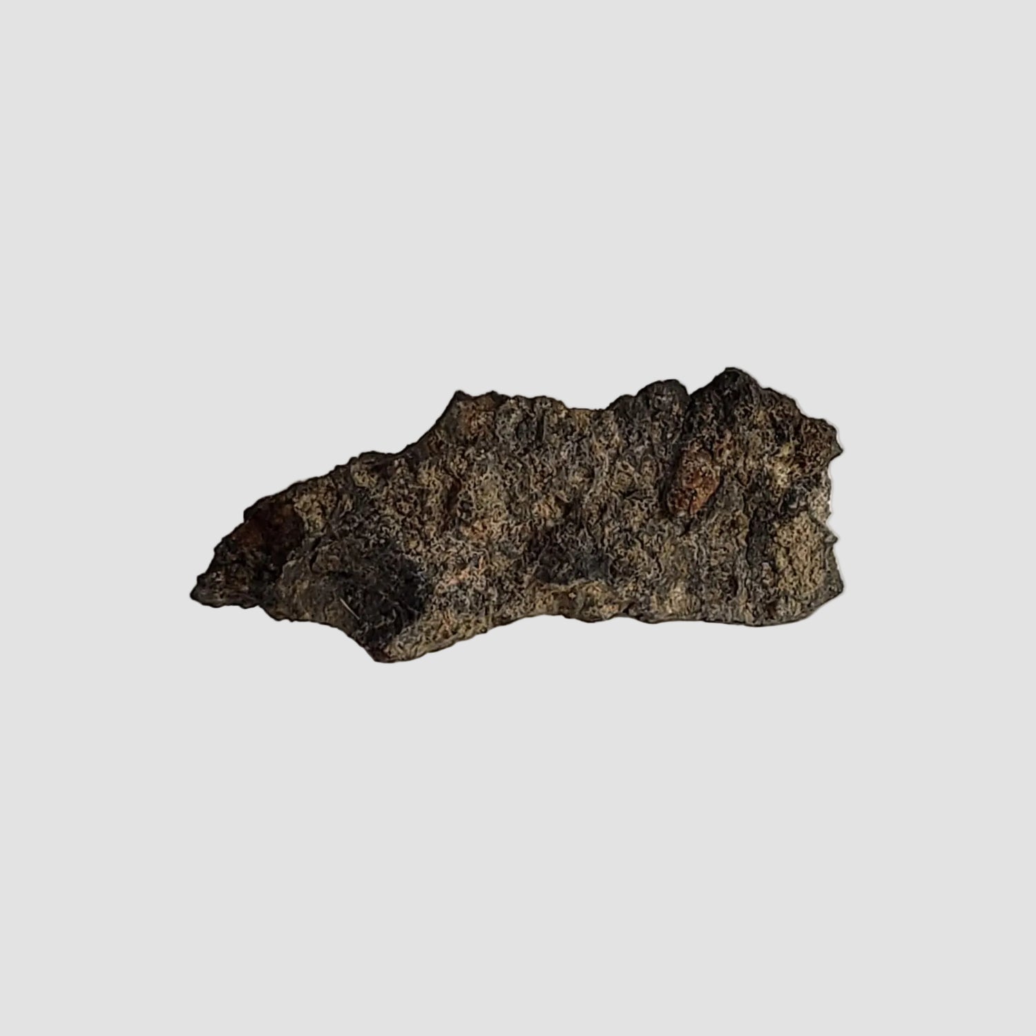  NWA 2086 Meteorite | 0.18 Grams | End Cut | CV3 Carbonaceous 1