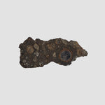  NWA 2086 Meteorite | 0.18 Grams | End Cut | CV3 Carbonaceous 2