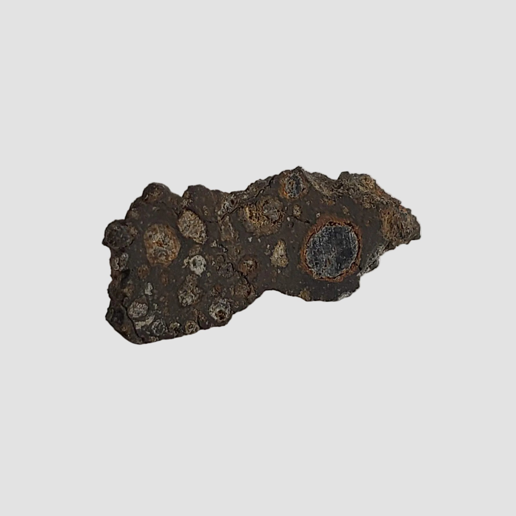 NWA 2086 Meteorite | 0.18 Grams | End Cut | CV3 Carbonaceous 3