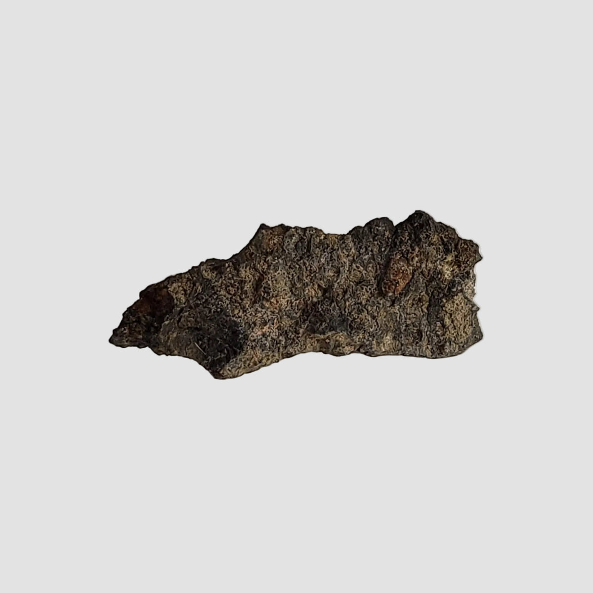  NWA 2086 Meteorite | 0.18 Grams | End Cut | CV3 Carbonaceous 1