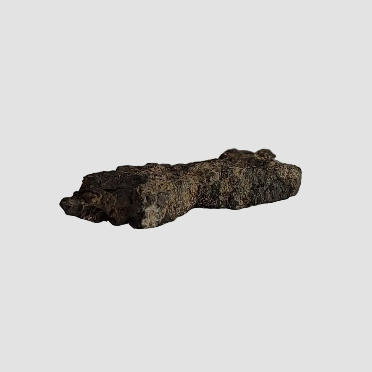  NWA 2086 Meteorite | 0.18 Grams | End Cut | CV3 Carbonaceous 4