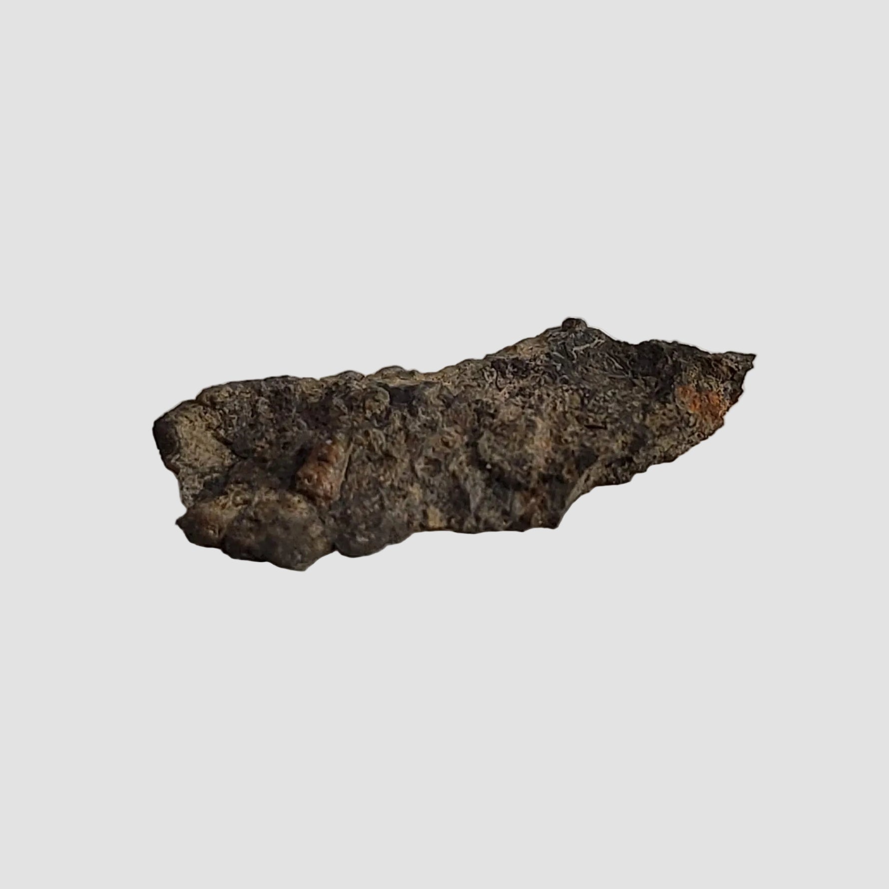  NWA 2086 Meteorite | 0.18 Grams | End Cut | CV3 Carbonaceous 5