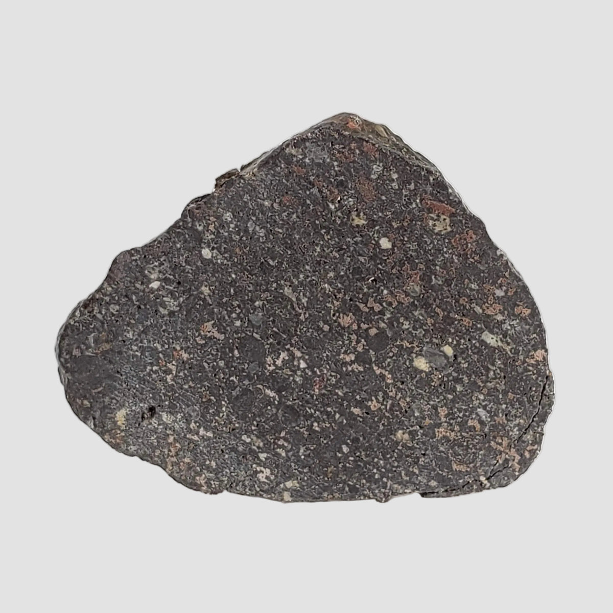  NWA 2122 Meteorite | 4.4 Gr | Slice | Stony Black L5 Chondrite | Northwest Africa 2