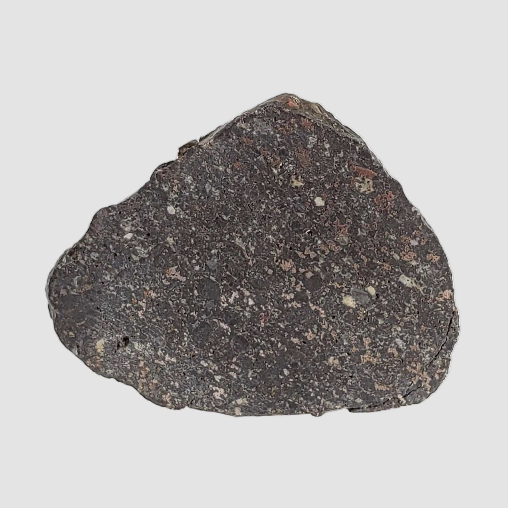  NWA 2122 Meteorite | 4.4 Gr | Slice | Stony Black L5 Chondrite | Northwest Africa 2