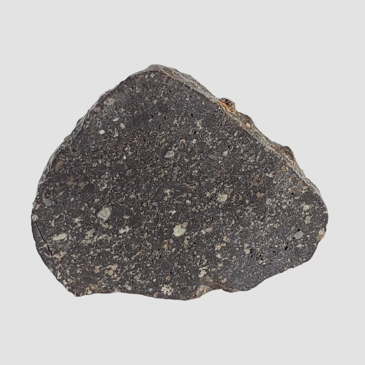 NWA 2122 Meteorite | 4.4 Gr | Slice | Stony Black L5 Chondrite | Northwest Africa 3