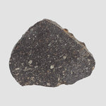  NWA 2122 Meteorite | 4.4 Gr | Slice | Stony Black L5 Chondrite | Northwest Africa 3
