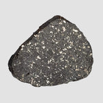  NWA 2122 Meteorite | 4.4 Gr | Slice | Stony Black L5 Chondrite | Northwest Africa 5