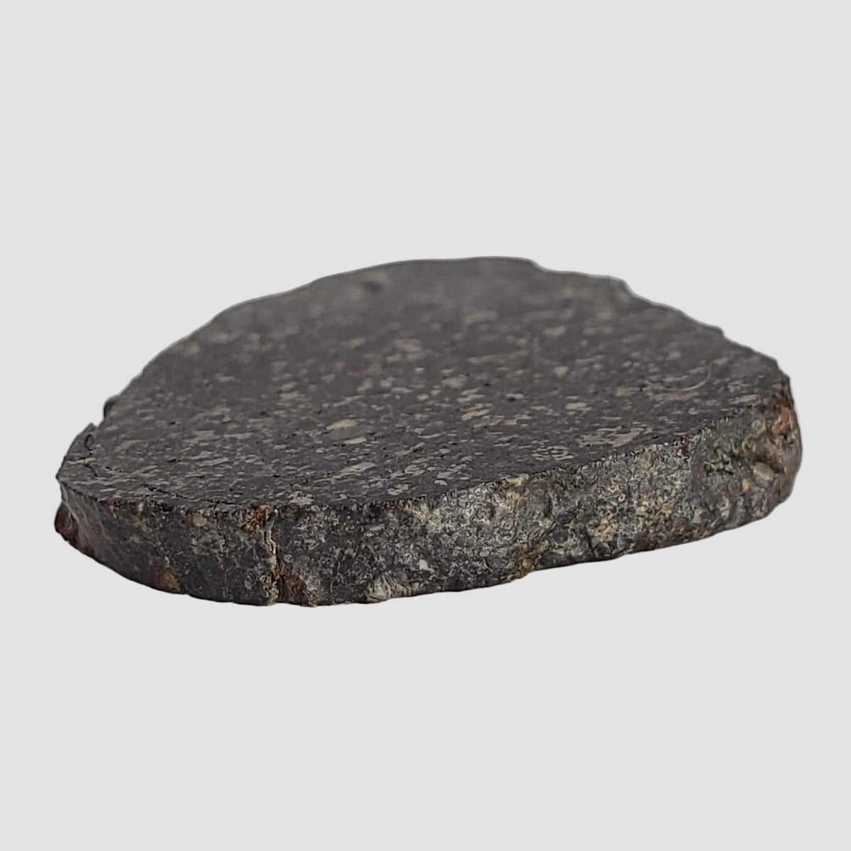  NWA 2122 Meteorite | 4.4 Gr | Slice | Stony Black L5 Chondrite | Northwest Africa 6