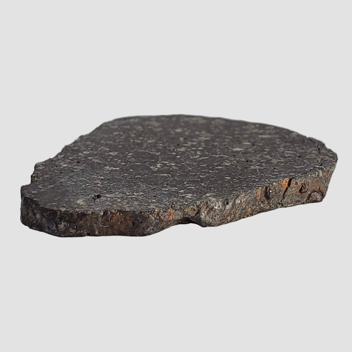  NWA 2122 Meteorite | 4.4 Gr | Slice | Stony Black L5 Chondrite | Northwest Africa 7