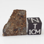  NWA 2126 Meteorite | 3.2 Grams | Part Slice | Rare Polymict Eucrite | Hupé Collection 