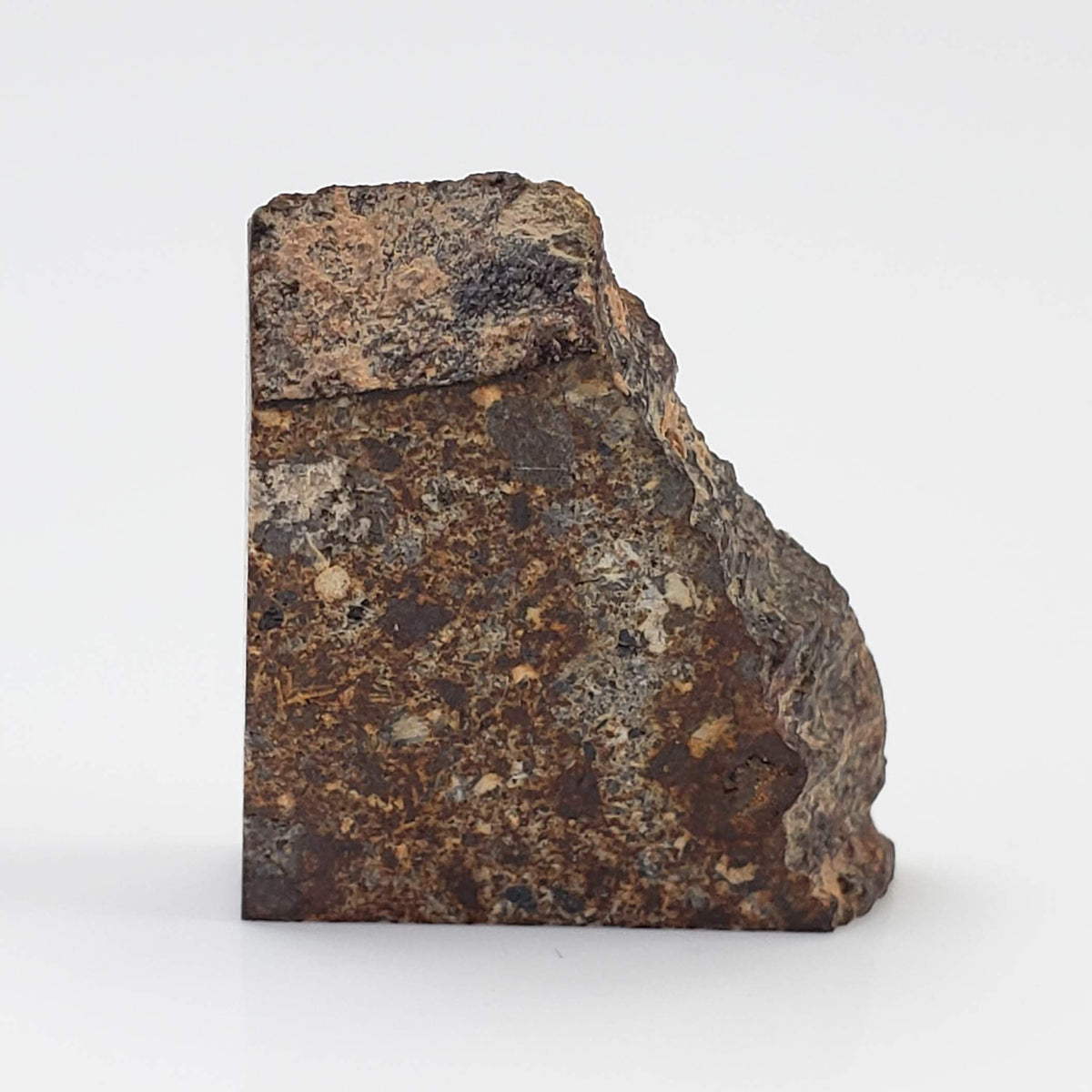 NWA 2126 Meteorite | 3.2 Grams | Part Slice | Rare Polymict Eucrite | Hupé Collection 1