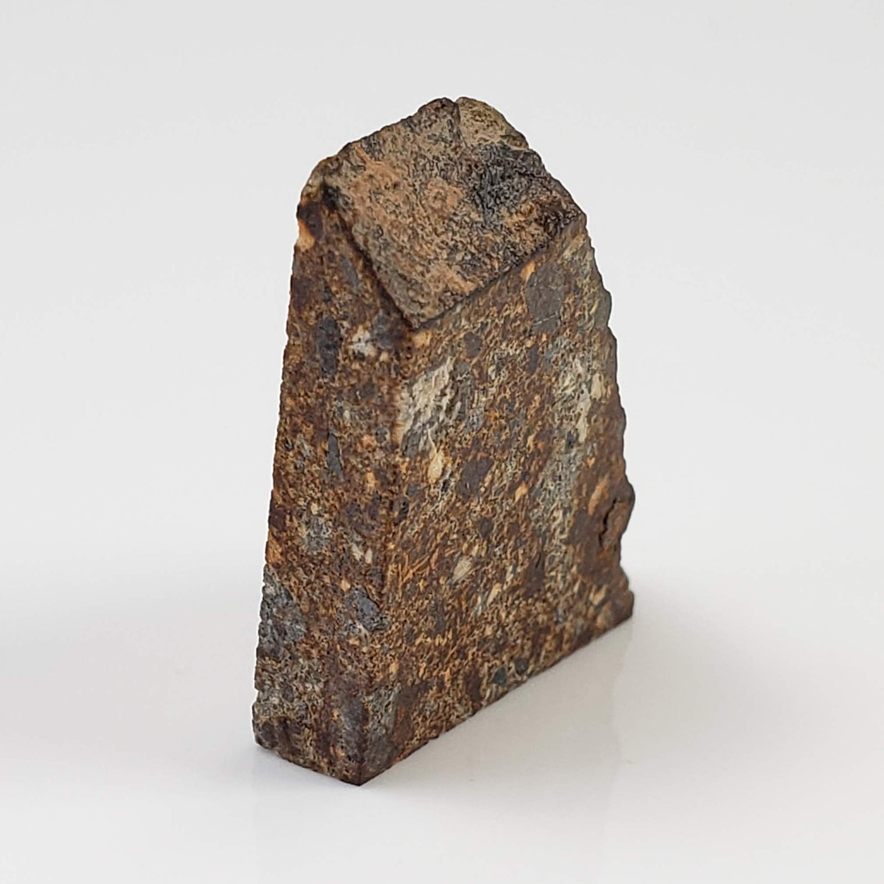  NWA 2126 Meteorite | 3.2 Grams | Part Slice | Rare Polymict Eucrite | Hupé Collection 2