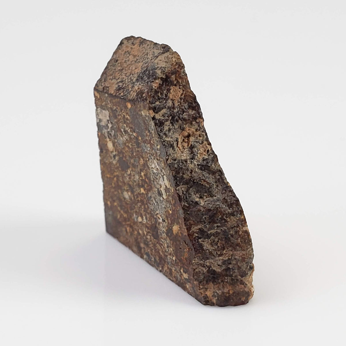  NWA 2126 Meteorite | 3.2 Grams | Part Slice | Rare Polymict Eucrite | Hupé Collection 3