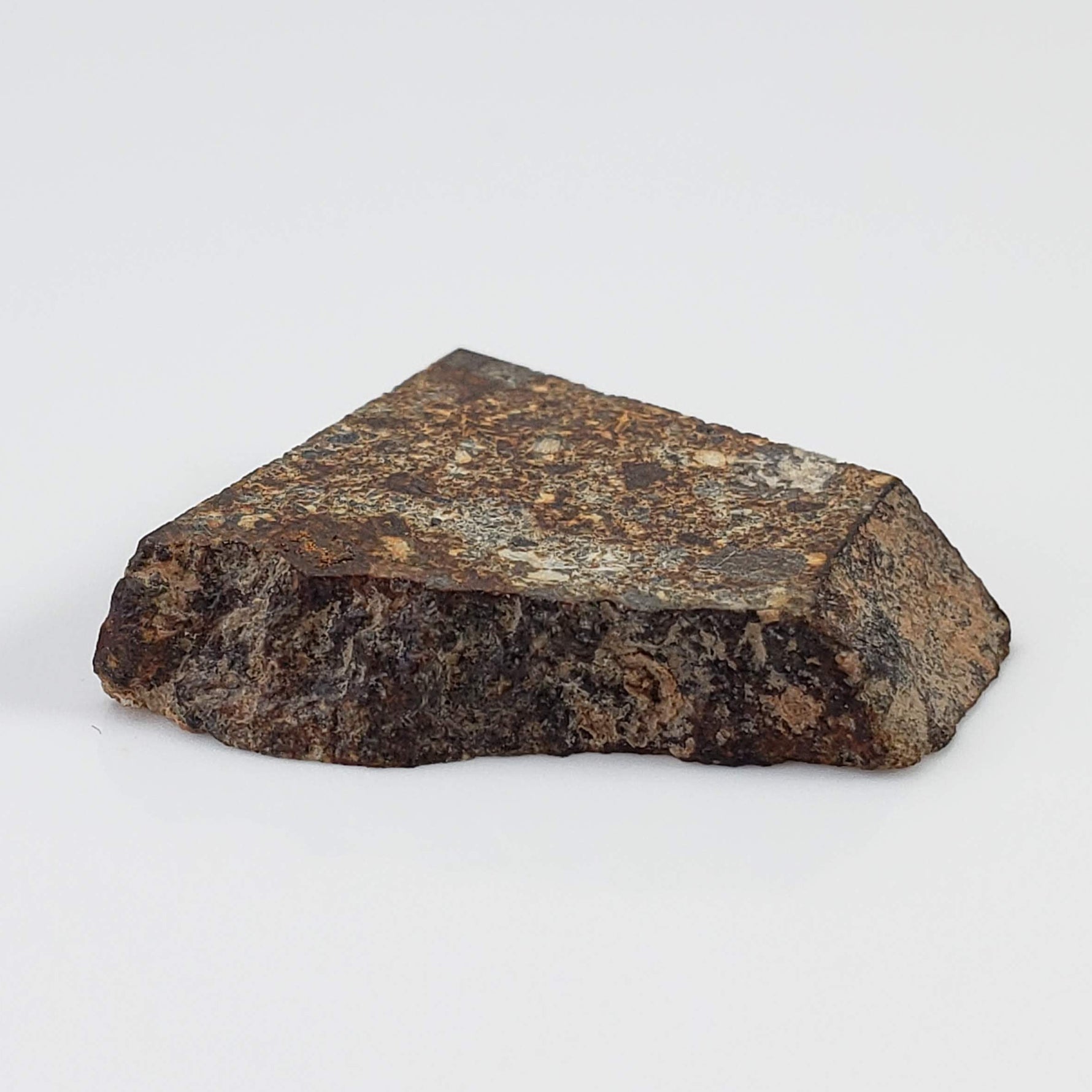  NWA 2126 Meteorite | 3.2 Grams | Part Slice | Rare Polymict Eucrite | Hupé Collection 4