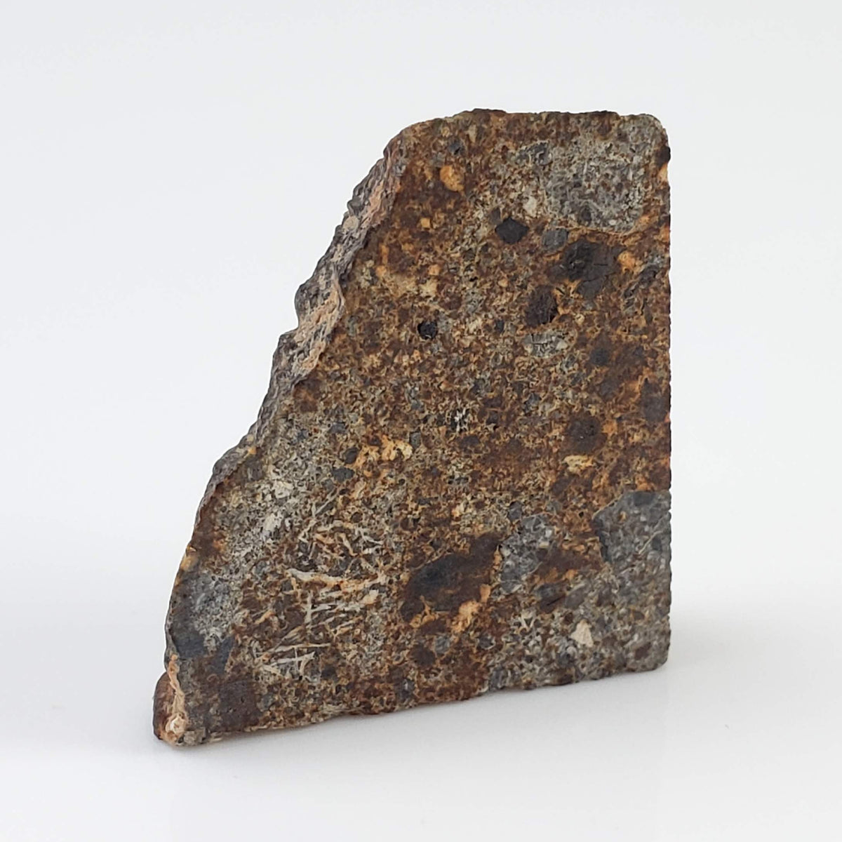  NWA 2126 Meteorite | 3.2 Grams | Part Slice | Rare Polymict Eucrite | Hupé Collection 6