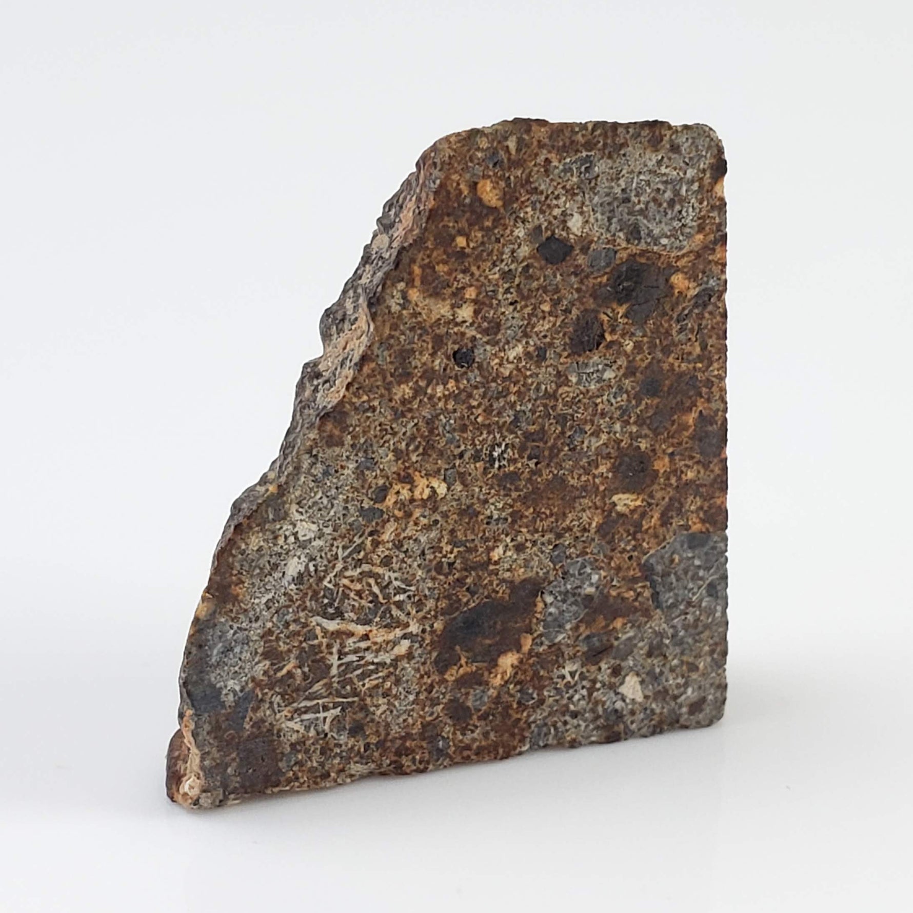  NWA 2126 Meteorite | 3.2 Grams | Part Slice | Rare Polymict Eucrite | Hupé Collection 6