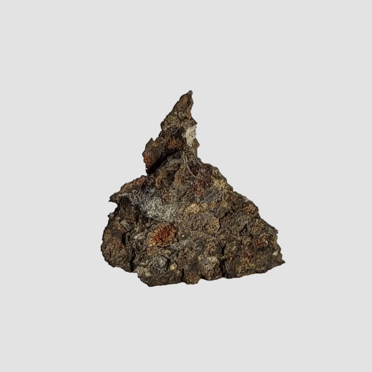  NWA 2224 Meteorite | 0.31 gram | Part Slice | Provisional CV3 Carbonaceous | Sahara 1