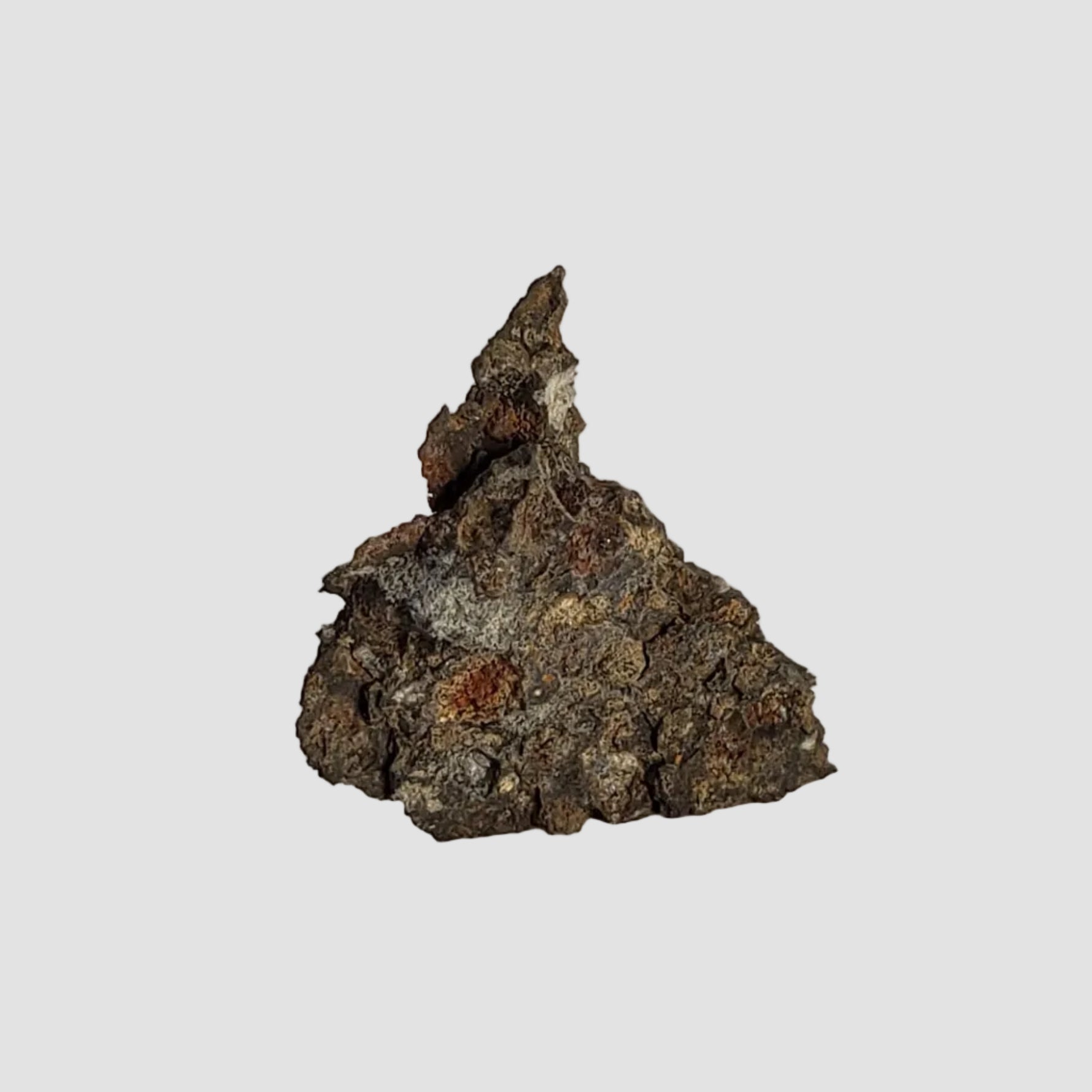  NWA 2224 Meteorite | 0.31 gram | Part Slice | Provisional CV3 Carbonaceous | Sahara 1