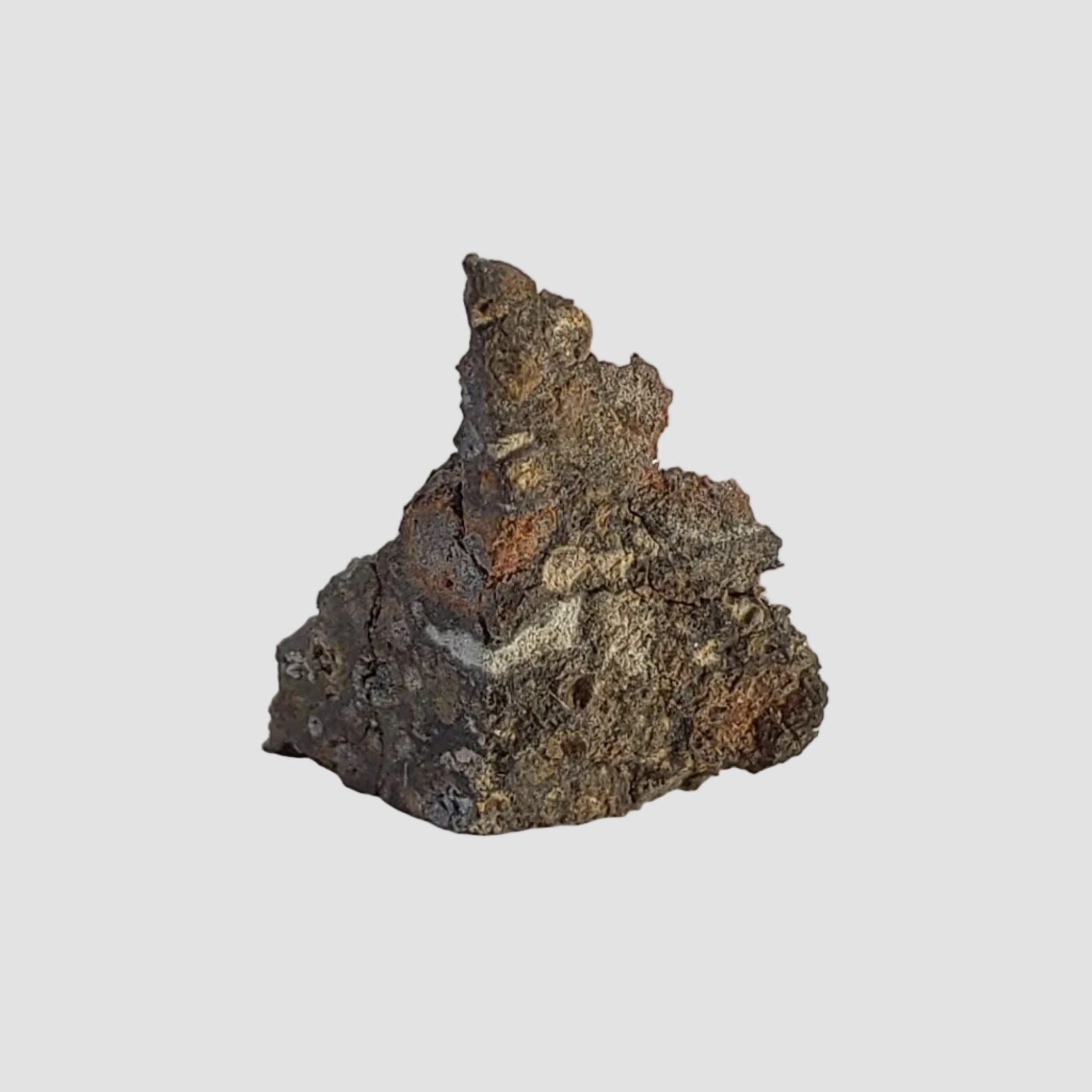  NWA 2224 Meteorite | 0.31 gram | Part Slice | Provisional CV3 Carbonaceous | Sahara 2