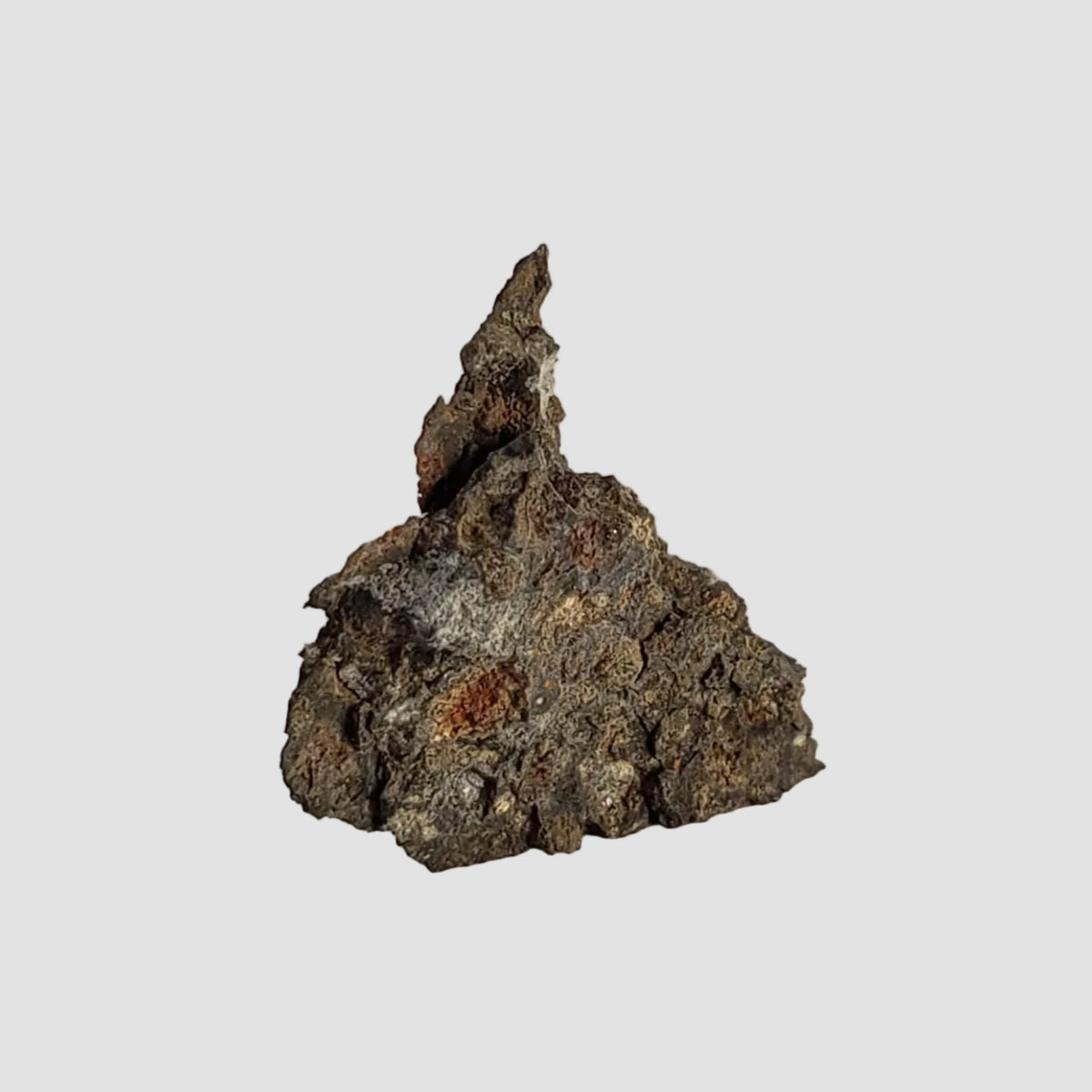  NWA 2224 Meteorite | 0.31 gram | Part Slice | Provisional CV3 Carbonaceous | Sahara 3