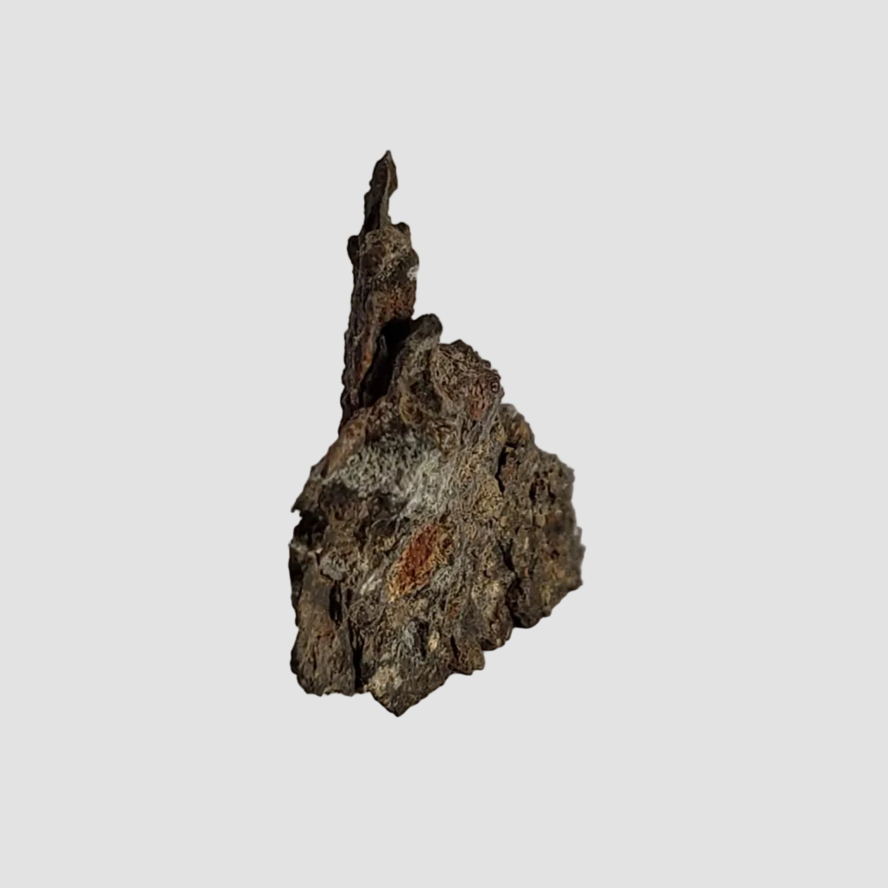  NWA 2224 Meteorite | 0.31 gram | Part Slice | Provisional CV3 Carbonaceous | Sahara 4