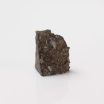  NWA 2224 Meteorite | 0.45 gram | Part Slice | Provisional CV3 Carbonaceous | Sahara 1