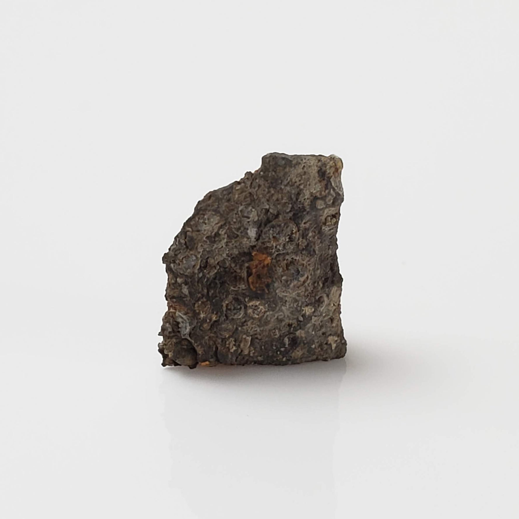  NWA 2224 Meteorite | 0.45 gram | Part Slice | Provisional CV3 Carbonaceous | Sahara 2