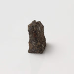  NWA 2224 Meteorite | 0.45 gram | Part Slice | Provisional CV3 Carbonaceous | Sahara 3