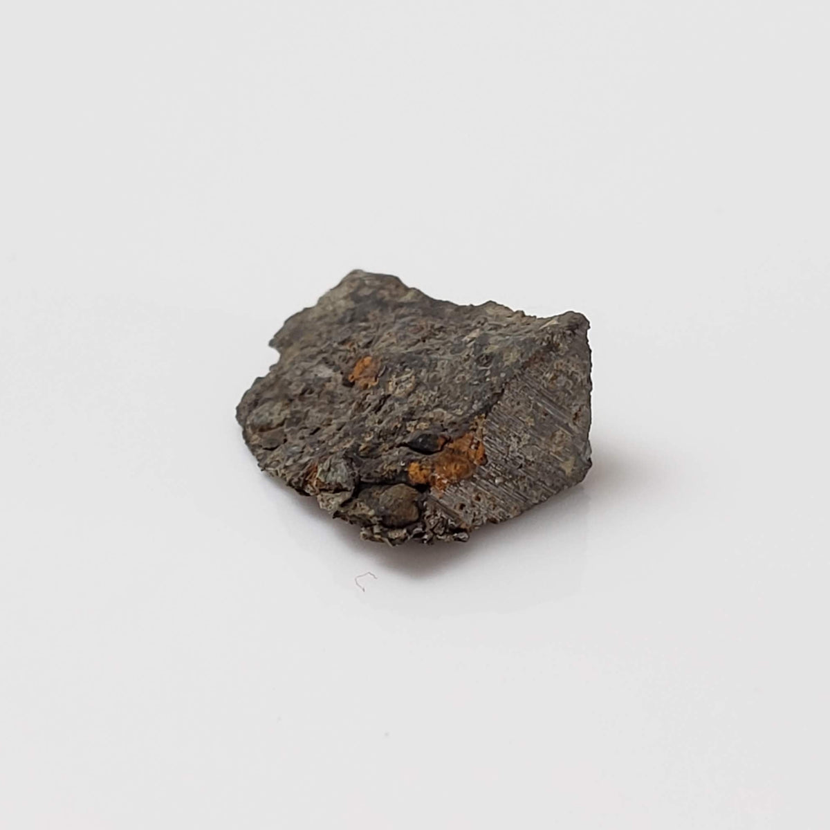  NWA 2224 Meteorite | 0.45 gram | Part Slice | Provisional CV3 Carbonaceous | Sahara 4