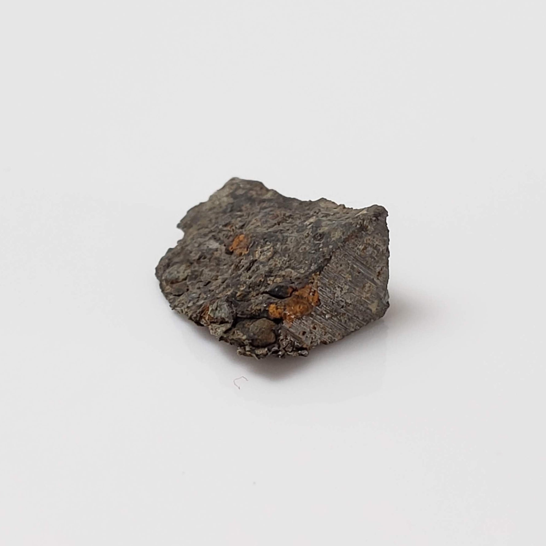  NWA 2224 Meteorite | 0.45 gram | Part Slice | Provisional CV3 Carbonaceous | Sahara 4