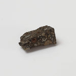  NWA 2224 Meteorite | 0.45 gram | Part Slice | Provisional CV3 Carbonaceous | Sahara 5