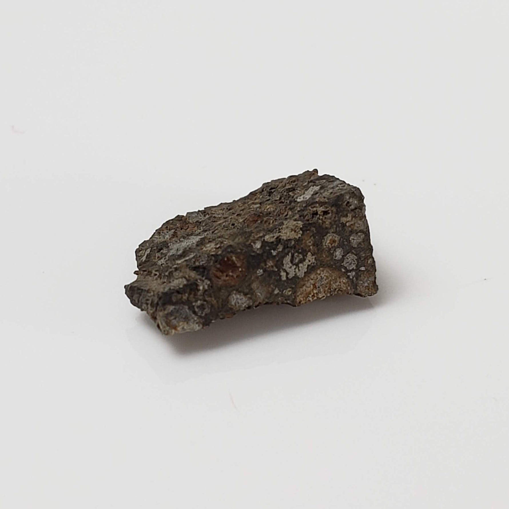  NWA 2224 Meteorite | 0.45 gram | Part Slice | Provisional CV3 Carbonaceous | Sahara 5