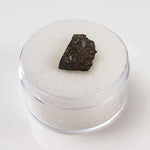  NWA 2224 Meteorite | 0.45 gram | Part Slice | Provisional CV3 Carbonaceous | Sahara 6