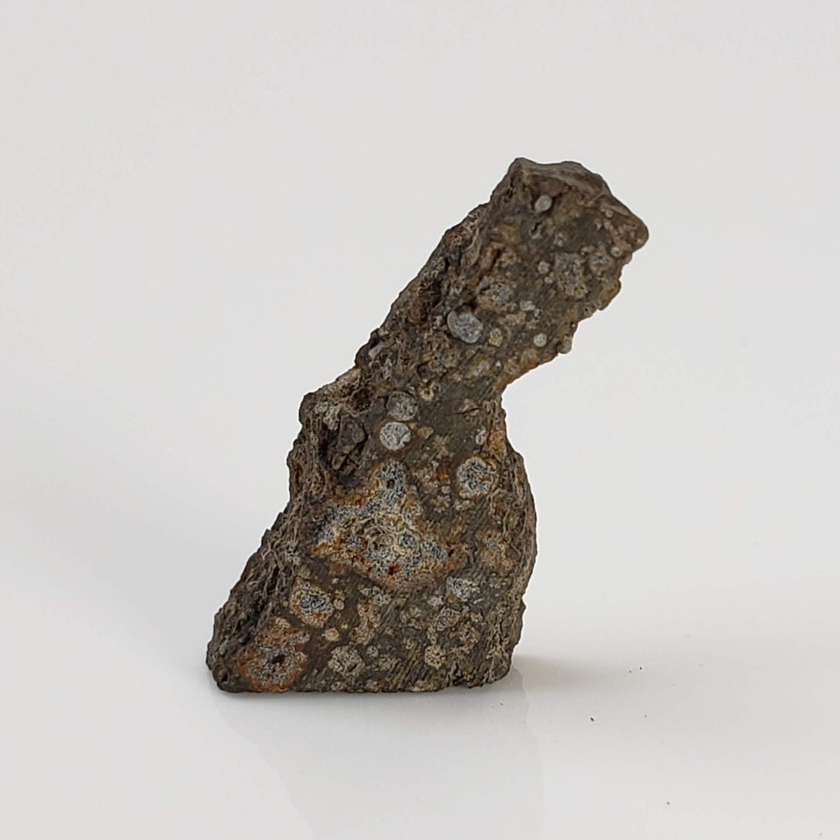  NWA 2224 Meteorite | 0.75 gram | Part Slice | Provisional CV3 Carbonaceous | Sahara 1