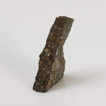  NWA 2224 Meteorite | 0.75 gram | Part Slice | Provisional CV3 Carbonaceous | Sahara 3