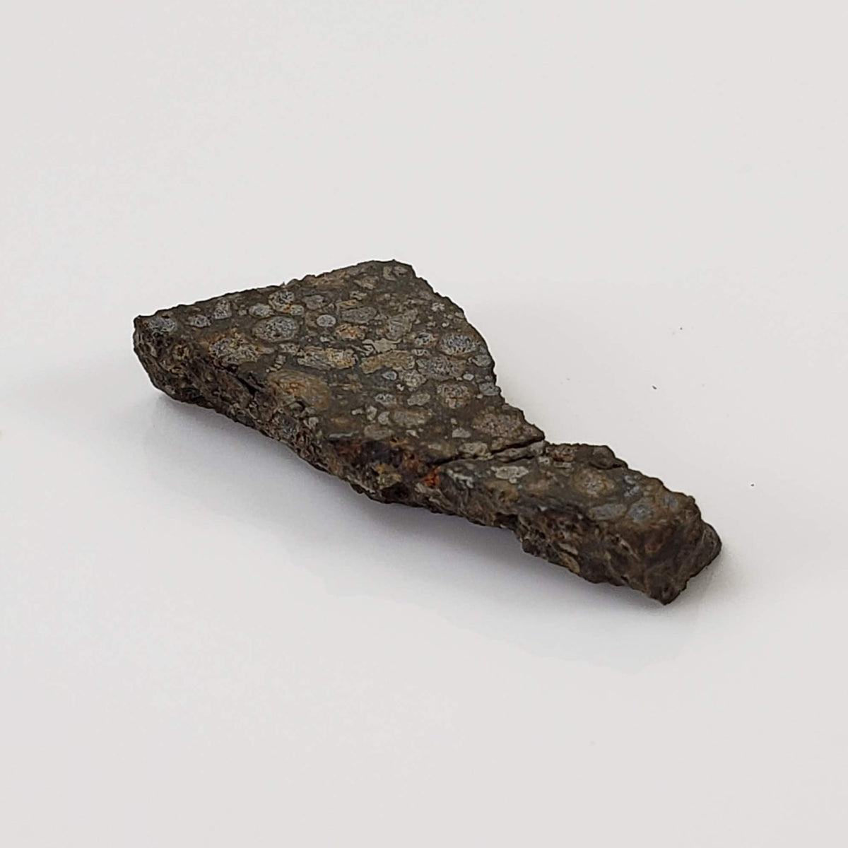  NWA 2224 Meteorite | 0.75 gram | Part Slice | Provisional CV3 Carbonaceous | Sahara 4
