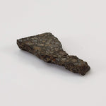 NWA 2224 Meteorite | 0.75 gram | Part Slice | Provisional CV3 Carbonaceous | Sahara 4