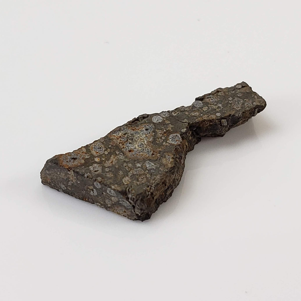  NWA 2224 Meteorite | 0.75 gram | Part Slice | Provisional CV3 Carbonaceous | Sahara 5