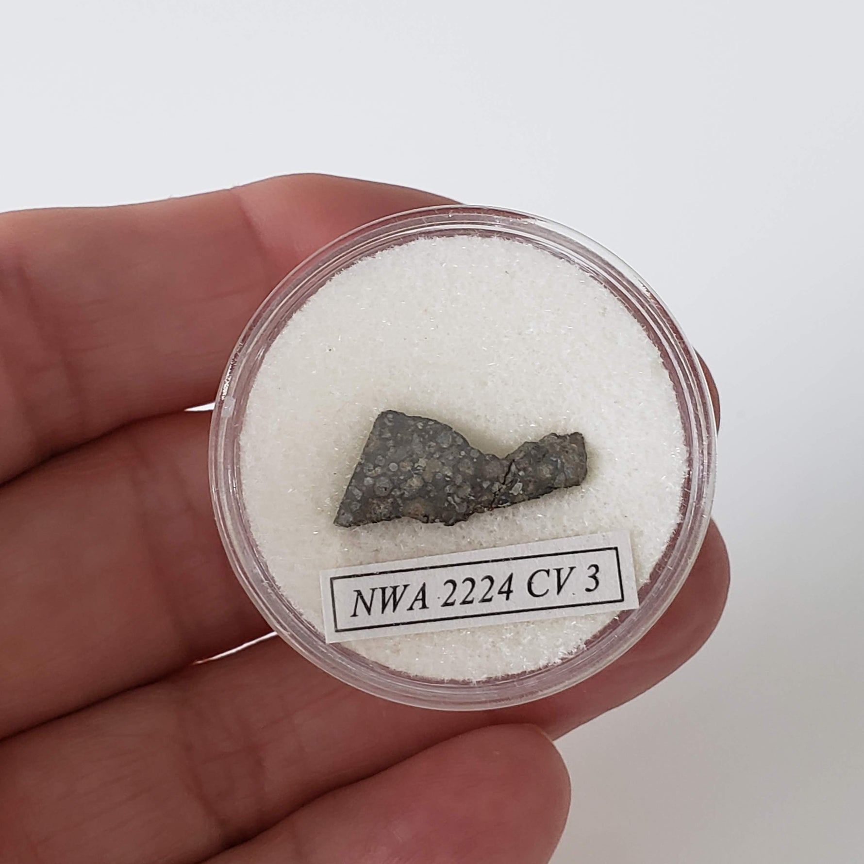  NWA 2224 Meteorite | 0.75 gram | Part Slice | Provisional CV3 Carbonaceous | Sahara 6