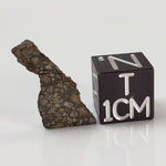  NWA 2224 Meteorite | 0.75 gram | Part Slice | Provisional CV3 Carbonaceous | Sahara 