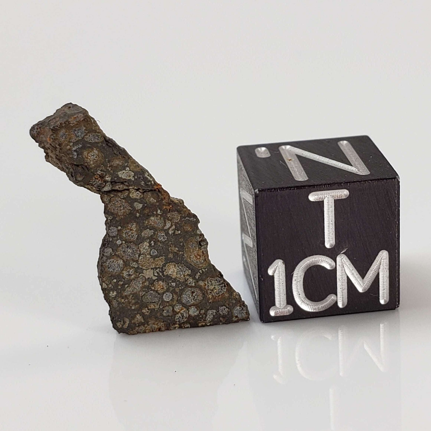  NWA 2224 Meteorite | 0.75 gram | Part Slice | Provisional CV3 Carbonaceous | Sahara 